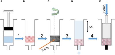 3D Structure and Mechanics of Silk Sponge Scaffolds Is Governed by Larger Pore Sizes